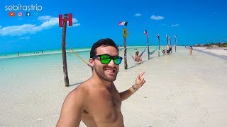 5 cosas que hacer en HOLBOX sebitastrip [upl. by Catima]