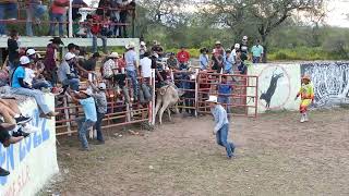 jaripeo rancho la virgen rioverde slp parte 9 [upl. by Friedman]