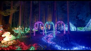 3 million lights set to illuminate Vancouvers Stanley Park  Tickets for Bright Nights [upl. by Zosema]