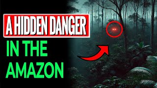 Amazon Rainforest Earths Most Dangerous Place Discover the Creatures and Secrets Within [upl. by Sukram669]