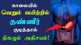 வெறும் வயிற்றில் தண்ணீர் குடியுங்கள்  Health benefits of drinking water on empty stomach Tamil [upl. by Naggem58]