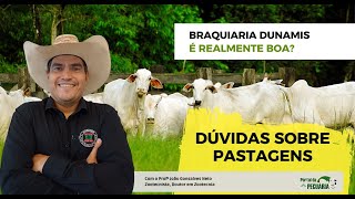 Terceira Revolução das braquiarias  Dunamis [upl. by Ert920]