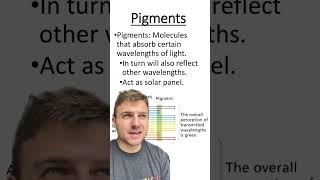 Pigments Vs Photosystems [upl. by Timmie]