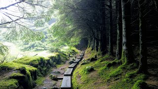 Wicklow Way 2019 Ireland May the road rise to meet you [upl. by Amol]