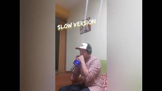 Red River Valley Harmonica cover [upl. by Davina]