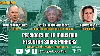 Presiones de la industria pesquera sobre Paracas [upl. by Witt]