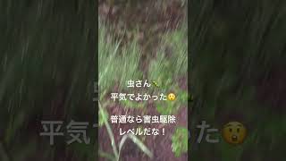 ⚠️引越しトラブルご近所さん🐛 [upl. by Kate]