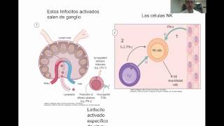 Tema 14b Respuesta inmune a bacterias virus hongos protozoos y helmintos umh1947 201314 [upl. by Warfeld]