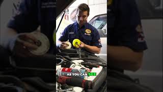 Genuine Toyota vs Aftermarket Fuel Filters The Truth Revealed [upl. by Edac309]