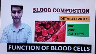 Blood Anatomy and Physiology In hindi RBC  WBC  Platelets Function of blood cells [upl. by Darooge994]