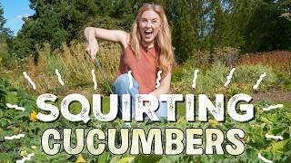 Do you know why these Cucumbers EXPLODE  Maddie Moate [upl. by Eem]