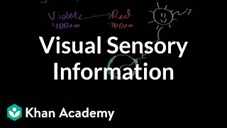 Visual sensory information  Processing the Environment  MCAT  Khan Academy [upl. by Orland]