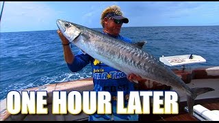 Kingfish Fishing for Snapper and Grouper in Key West Florida [upl. by Laet]