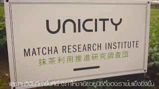 Unicity Matcha Research Institute in Japan Sub Thai [upl. by Ynnaf]