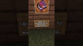 Enchantments for Chestplate tips forbegginer [upl. by Nosneh]