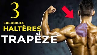 3 EXERCICES HALTÈRES POUR SE MUSCLER LES TRAPÈZES EN MUSCULATION [upl. by Enialb673]