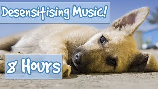 Desensitising Dog Music Music with Sound Effects to Desensitise Dogs to Noises Reduce Anxiety🐶💤 [upl. by Anawait]