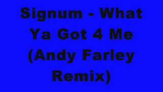 Signum  What Ya Got 4 Me Andy Farley Remix [upl. by Attecnoc]