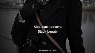 Lana Del Rey — Black beauty  slowed [upl. by Ynamad]