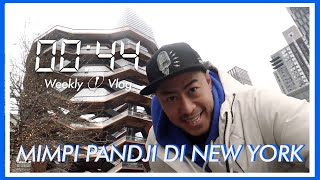 Mimpi Pandji di New York  0044 Weekly Vlog Eps42 [upl. by Arihs806]