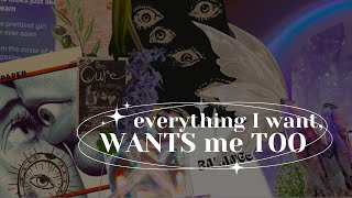 quoteverything I want wants me tooquot blockage remover amp mindset booster subliminal calm 432Hz [upl. by Alicsirp365]