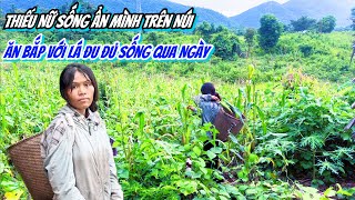 Thiếu Nữ Ở RỪNG Sống Một Mình Trong Căn Nhà Rách Nát Không Có Gì Để Ăn  474 [upl. by Dobb]