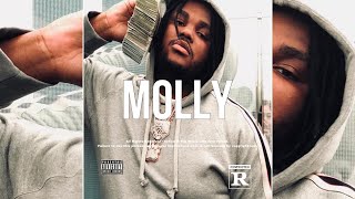 FREE Tee Grizzley Type beat “MOLLY”  2024 [upl. by Damahom909]