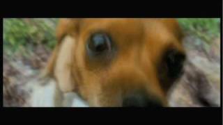 Beverly Hills Chihuahua  Disney Channel Preview [upl. by Atrebor]