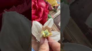 Daffodil flower 🌼 sculpture painting youtubeshorts flowers short [upl. by Signe734]