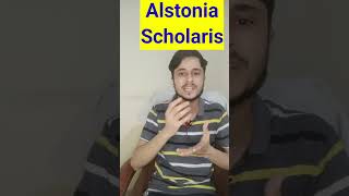 Alstonia Scholaris Homeopathic Medicine shorts youtubeshorts [upl. by Singhal]