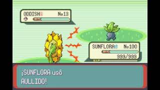 POKEMON EMERALD  SUNFLORA  AULLIDO  HOWL [upl. by Hailat]