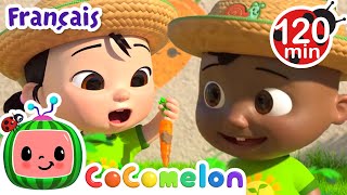 La récolte dautomne 🍲  CoComelon  LHeure de Cody  Chansons pour bébés [upl. by Ahmad426]