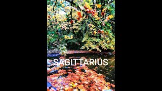 SAGITTARIUS♐ Massive Energy Shift NOV 24 30 2024 [upl. by Warp]