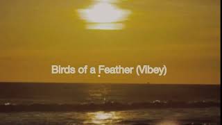 Birds of a Feather Vibey  Official Audio  Sunset Party [upl. by Powder]