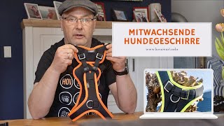 Die mitwachsenden Geschirre für deinen Hund [upl. by Assilaj]