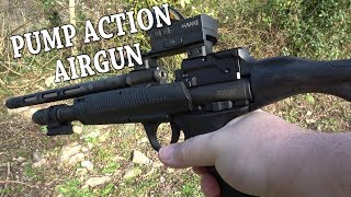 REVIEW Umarex RP5 CO2 Airgun  Underpowered Plinker [upl. by Swen]