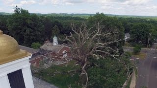 New Jersey town saying goodbye to 600yearold icon [upl. by Llertnov]