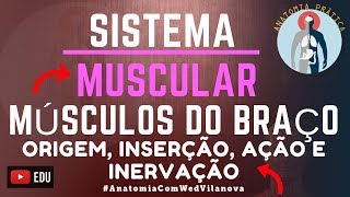 MÚSCULOS DO BRAÇO❗ORIGEM INSERÇÃO AÇÃO amp INERVAÇÃO❗QUAIS SÃO❗❓DESCUBRA AQUI❗Anatomia Prática [upl. by Alidis]