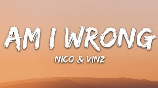 Nico amp Vinz  Am I Wrong Lyrics [upl. by Gerdy779]