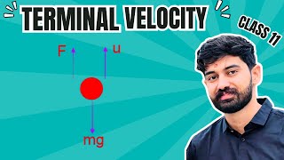 Terminal Velocity Class 11 Physics Term 2 by Parveen sheokand [upl. by Eatnuahs]