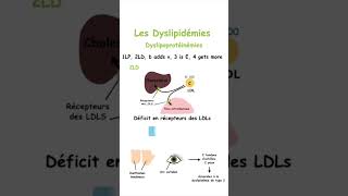 Retenez les Différentes Dyslipidémies sans Effort grâce à cette Méthode Mnémotechnique shorts [upl. by Yadsnil]