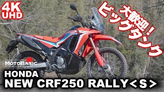 新型 CRF250ラリー ホンダ・バイク試乗ショートレビュー HONDA NEW CRF250 RALLY TEST RIDE [upl. by Yesrej]