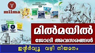 മിൽമയിൽ വിവിധ ജോലി ഒഴിവുകൾ Milma RecruitmentMilmatrcmpugovt jobs10th pass [upl. by Thorfinn330]