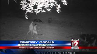 Historic cemetery desecration caught on camera [upl. by Ardnaek]