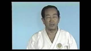 Hangetsu Kata amp Bunkai [upl. by Mair]