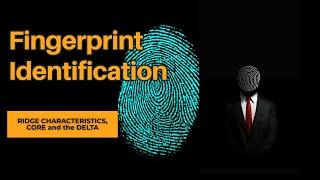 Fingerprint Identification  Personal Identification Techniques [upl. by Nalym]