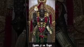 Maruthamalai mamaniye muruga lyrics tamil  மருதமலை மாமணிய முருகய்யா [upl. by Genovera199]