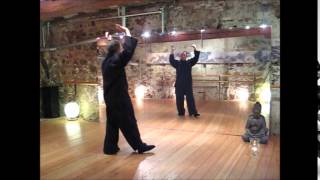 Taiji Qigong Shibashi 5 Set Qigong BadenBaden [upl. by Fisch]