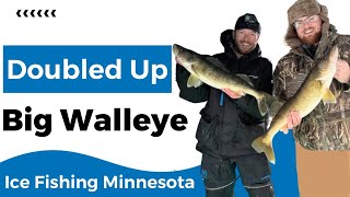 Multiple Big Walleyes Ice Fishing [upl. by Nevin]