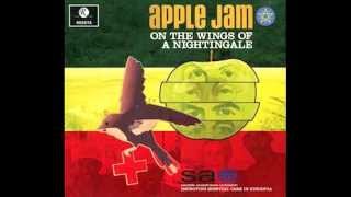 John Lennon  Help Me to Help Myself 71 version  cover by Apple Jam [upl. by Erlene]